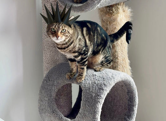 LIL CAT VERT MASK