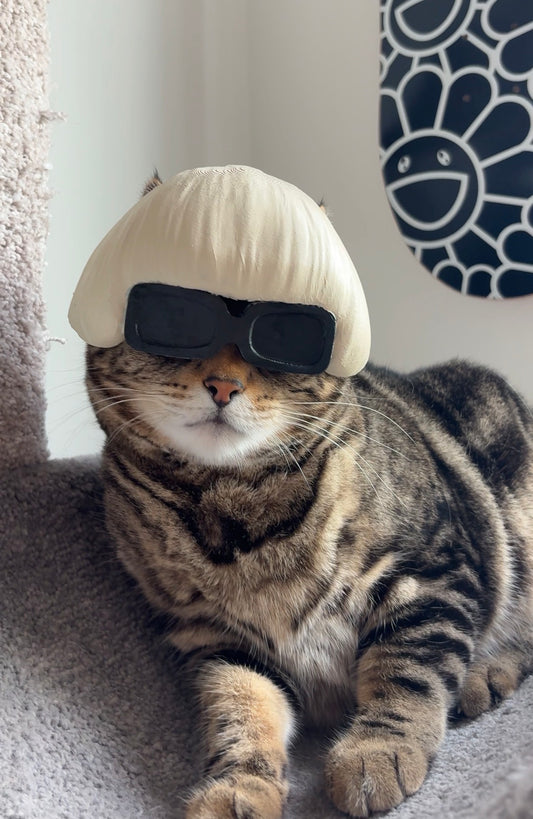 CREATOR CAT MASK
